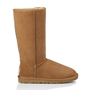 CLASSIC UGG TALL IN CHESTNUT